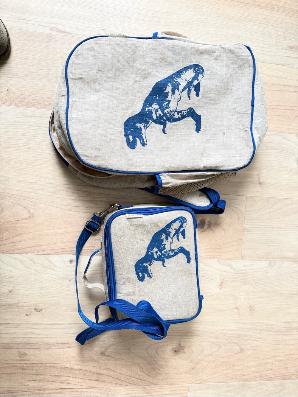 Canvas Crossbody Bag with Blue Dino Print - Men